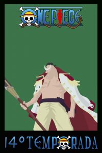 One Piece: Season 14